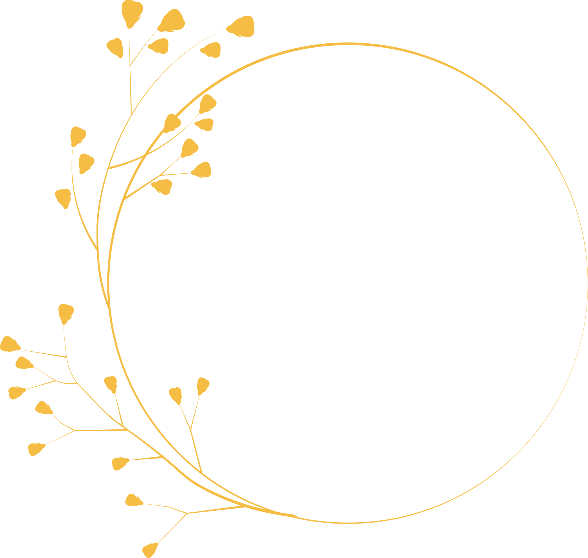 limoniumkreis250euro